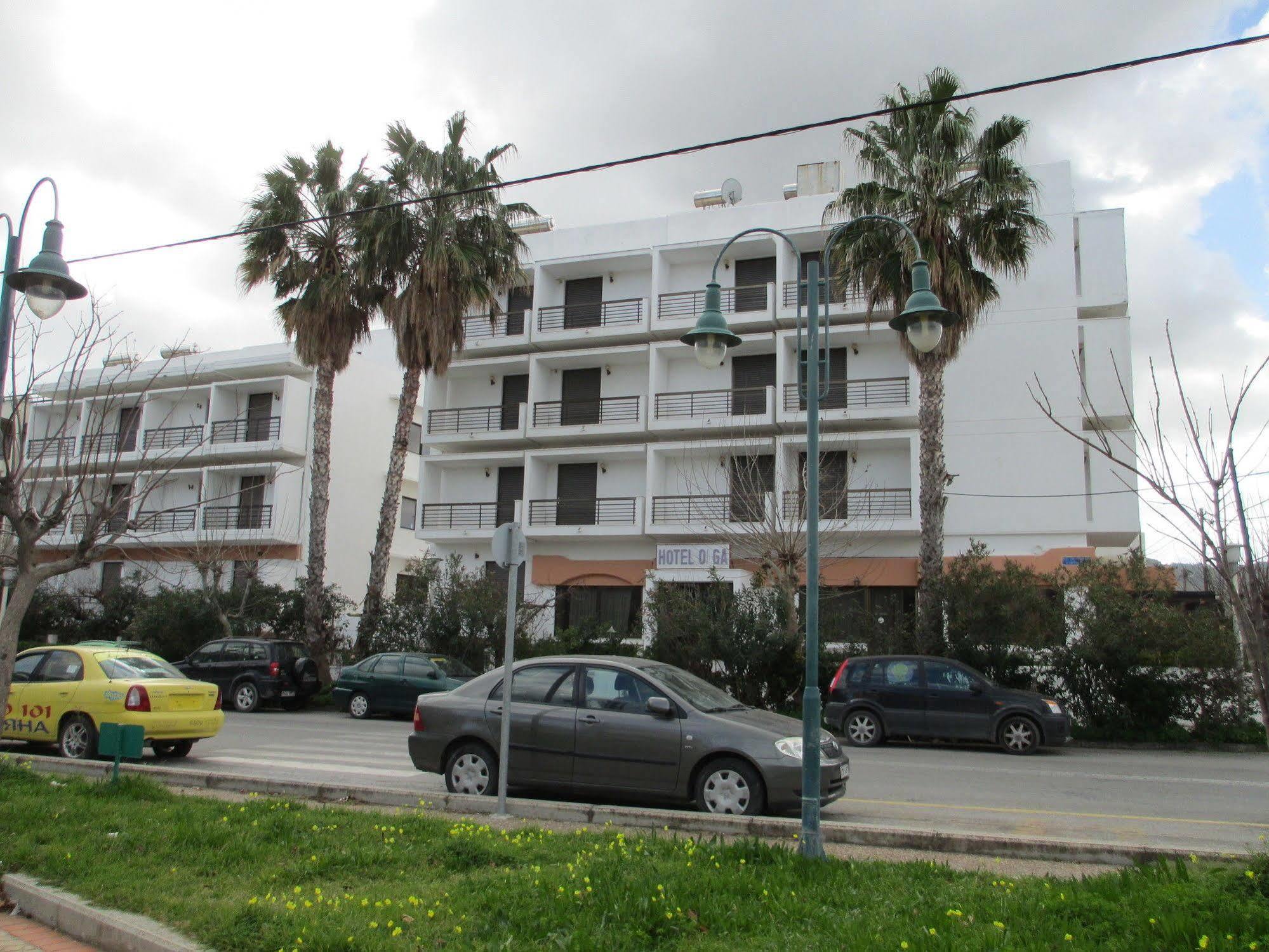 Olgas Paradise Apartments 살리디 외부 사진